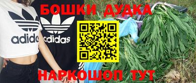 PSILOCYBIN Нальчик