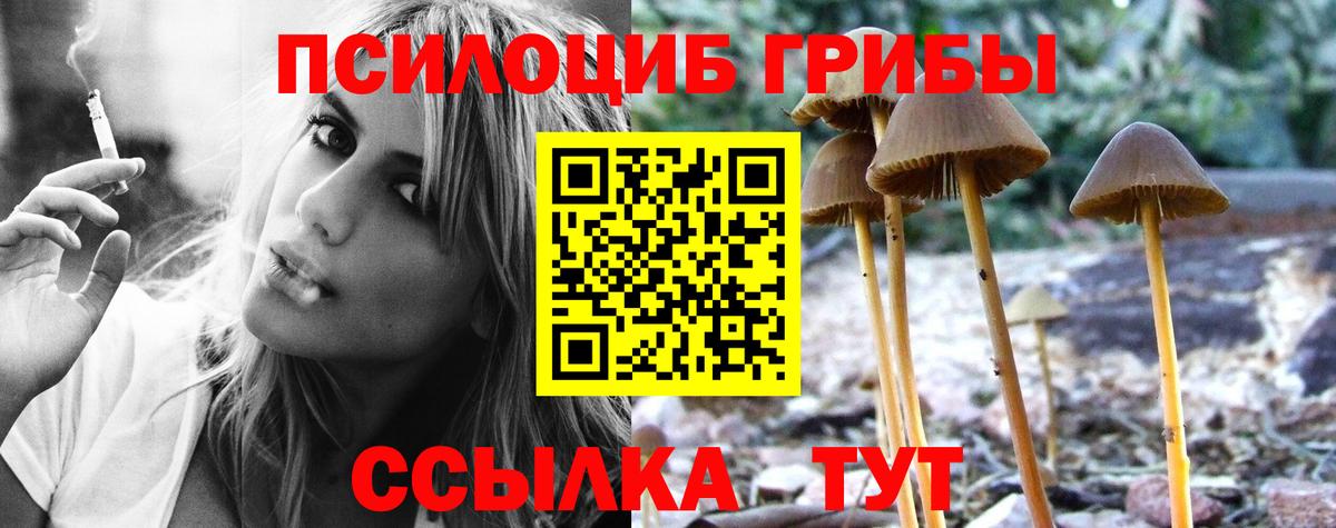 Псилоцибиновые грибы Magic Shrooms Ангарск